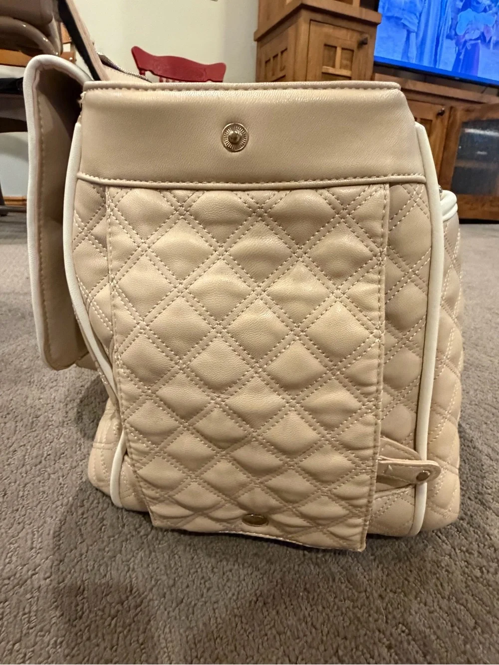 Small couture dog carrier